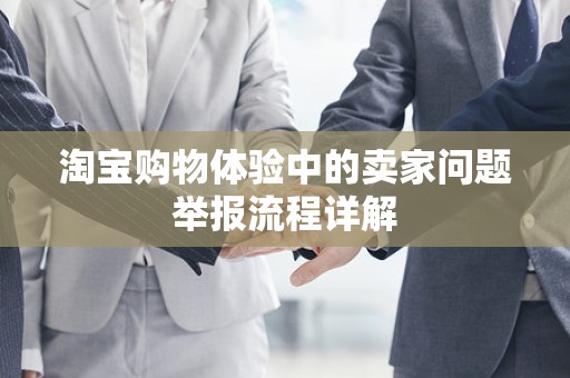 淘宝购物体验中的卖家问题举报流程详解