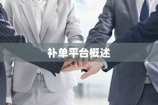 补单平台概述