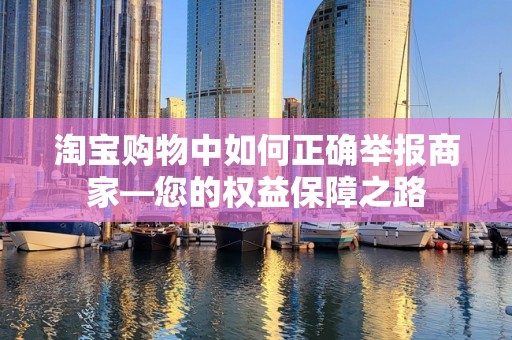 淘宝购物中如何正确举报商家—您的权益保障之路