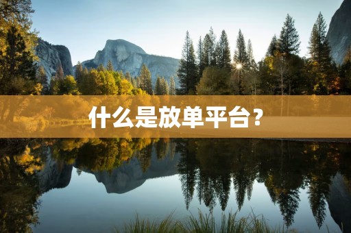 什么是放单平台？