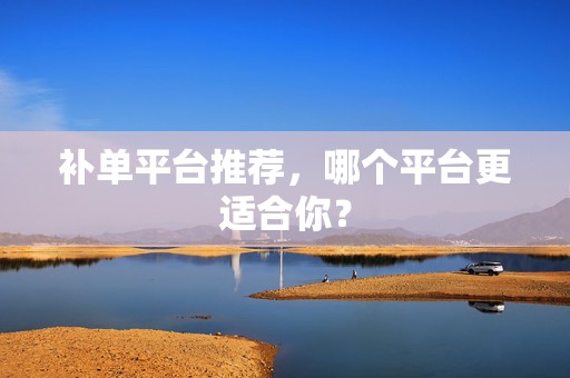 补单平台推荐，哪个平台更适合你？