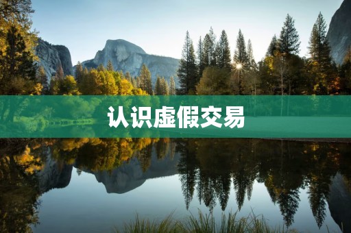 认识虚假交易