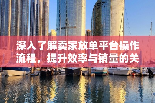 深入了解卖家放单平台操作流程，提升效率与销量的关键步骤