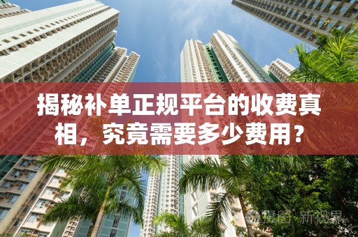 揭秘补单正规平台的收费真相，究竟需要多少费用？
