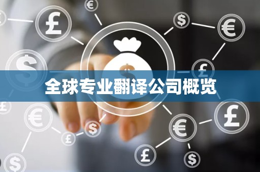全球专业翻译公司概览