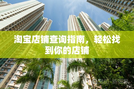 淘宝店铺查询指南，轻松找到你的店铺
