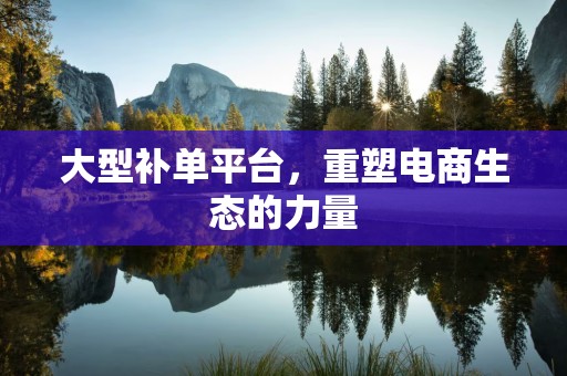 大型补单平台，重塑电商生态的力量