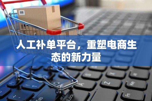 人工补单平台，重塑电商生态的新力量