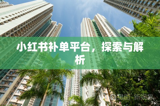 小红书补单平台，探索与解析