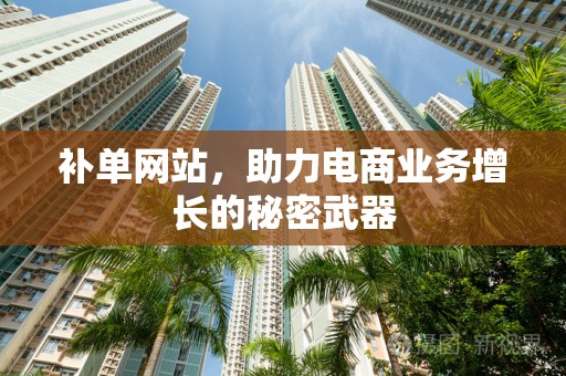 补单网站，助力电商业务增长的秘密武器