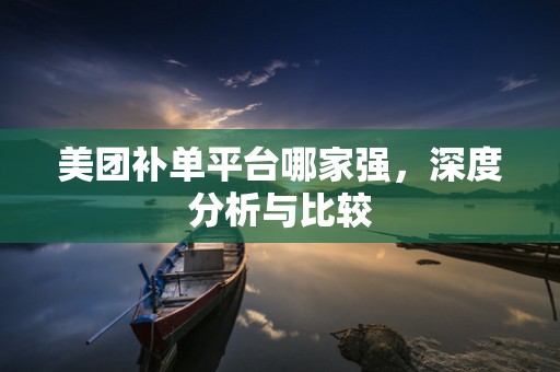 美团补单平台哪家强，深度分析与比较