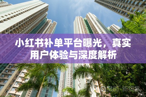 小红书补单平台曝光，真实用户体验与深度解析