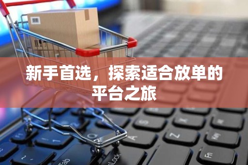 新手首选，探索适合放单的平台之旅