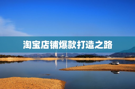 淘宝店铺爆款打造之路