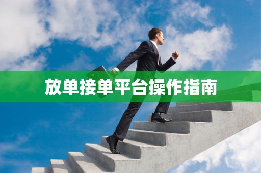 放单接单平台操作指南