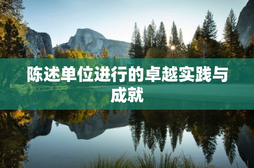 陈述单位进行的卓越实践与成就