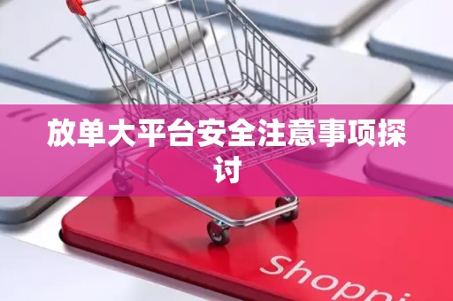 放单大平台安全注意事项探讨