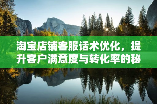 淘宝店铺客服话术优化，提升客户满意度与转化率的秘诀