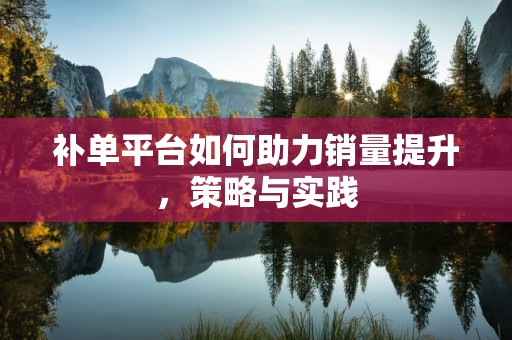补单平台如何助力销量提升，策略与实践