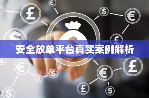 安全放单平台真实案例解析