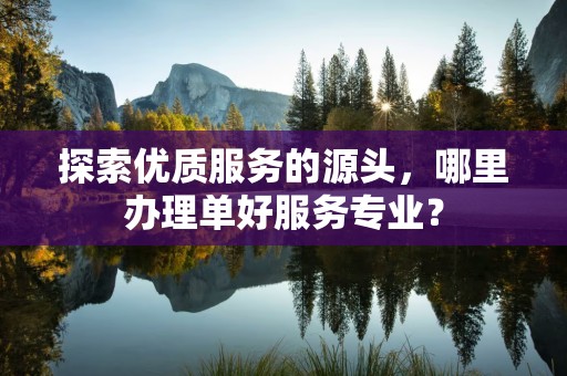 探索优质服务的源头，哪里办理单好服务专业？