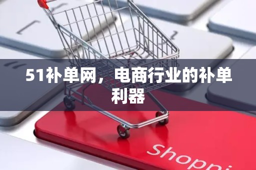 51补单网，电商行业的补单利器