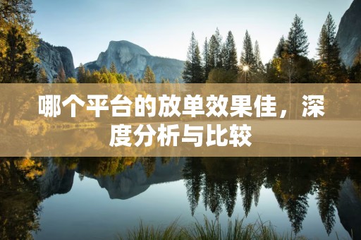 哪个平台的放单效果佳，深度分析与比较