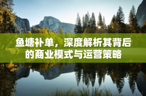 鱼塘补单，深度解析其背后的商业模式与运营策略