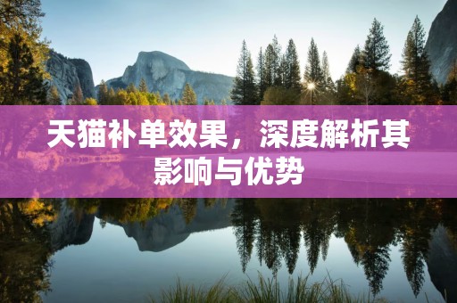 天猫补单效果，深度解析其影响与优势