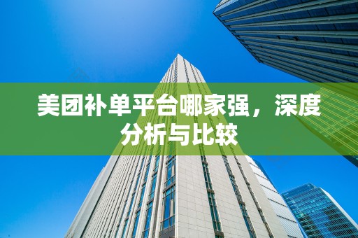 美团补单平台哪家强，深度分析与比较