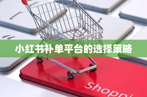 小红书补单平台的选择策略