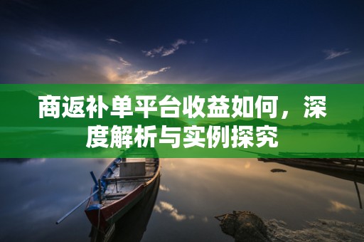 商返补单平台收益如何，深度解析与实例探究
