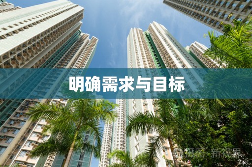 明确需求与目标