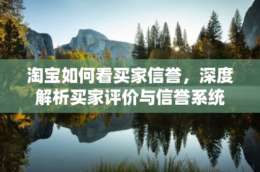 淘宝如何看买家信誉，深度解析买家评价与信誉系统