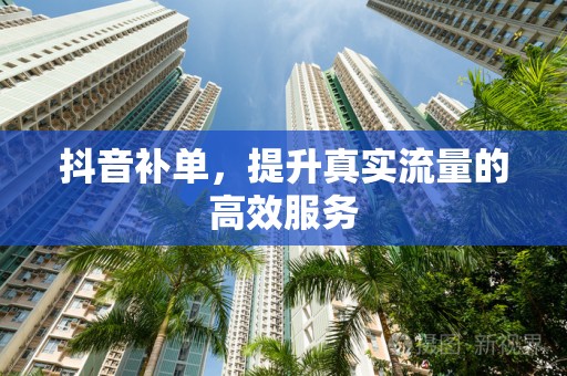 抖音补单，提升真实流量的高效服务