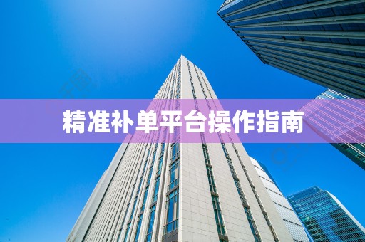 精准补单平台操作指南