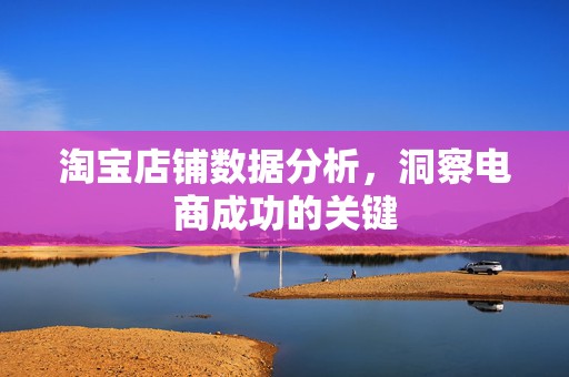 淘宝店铺数据分析，洞察电商成功的关键