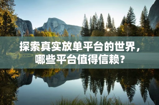 探索真实放单平台的世界，哪些平台值得信赖？