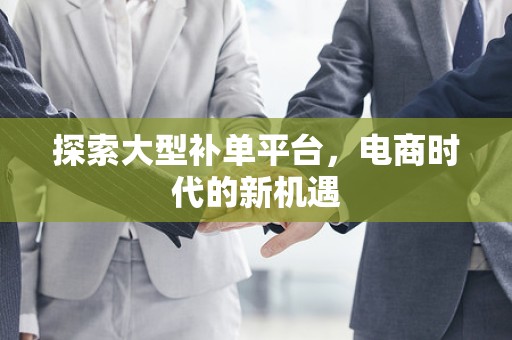 探索大型补单平台，电商时代的新机遇