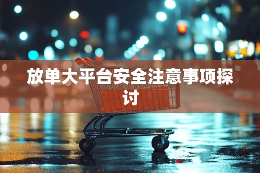放单大平台安全注意事项探讨