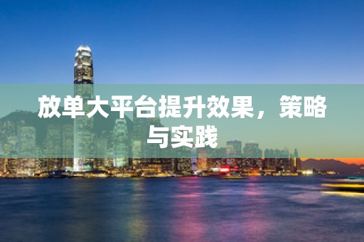 放单大平台提升效果，策略与实践