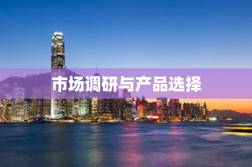 市场调研与产品选择