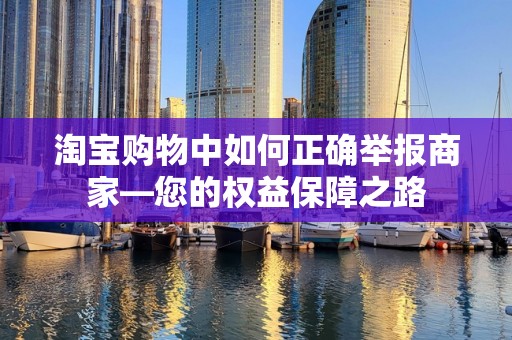 淘宝购物中如何正确举报商家—您的权益保障之路