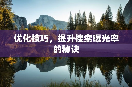 优化技巧，提升搜索曝光率的秘诀