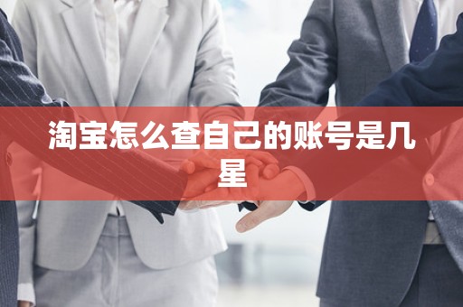 淘宝怎么查自己的账号是几星