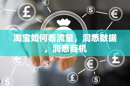 淘宝如何看流量，洞悉数据，洞悉商机
