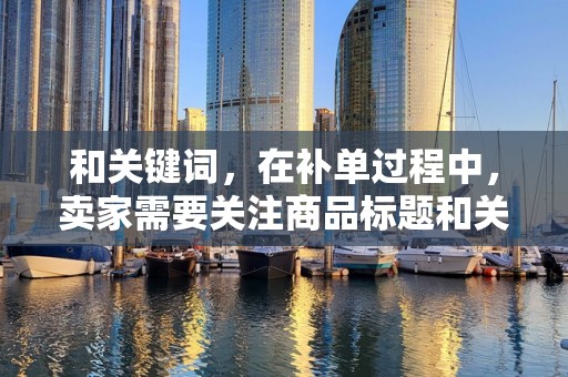 和关键词，在补单过程中，卖家需要关注商品标题和关键词的优化。确保商品标题准确、简洁，关键词热门且与商品相关，有助于提高店铺的曝光率