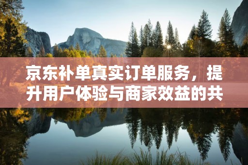京东补单真实订单服务，提升用户体验与商家效益的共赢策略