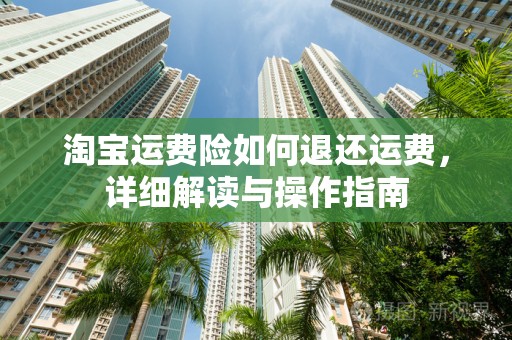 淘宝运费险如何退还运费，详细解读与操作指南