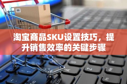 淘宝商品SKU设置技巧，提升销售效率的关键步骤
